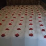 اتانول طبی ۹۶٪ فن آوران شیرین بدون بو