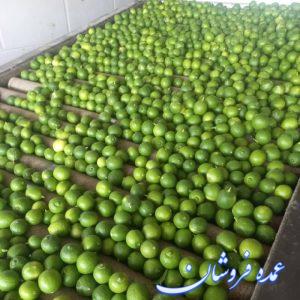لیمو آبگیری