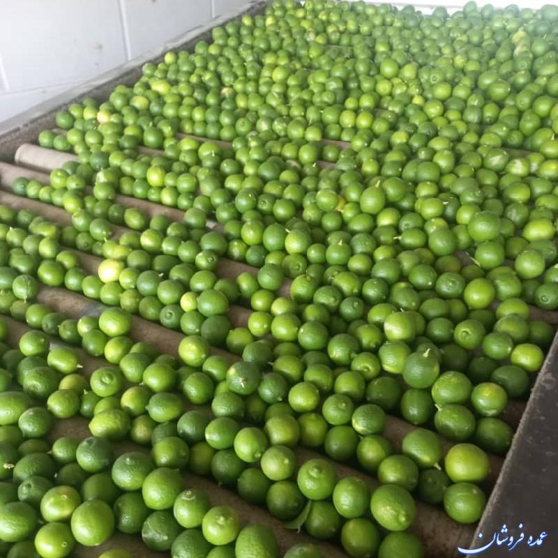 لیمو آبگیری