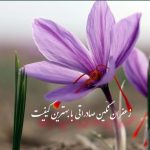 فروش زعفران سوپر نگین درجه یک صادراتی