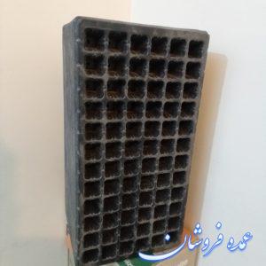 سینی نشا گلخانه