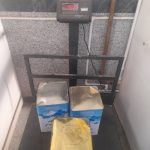 پنیر گوسفندی پرچرب لیقوان