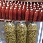 آبغوره انگور عسکری.
