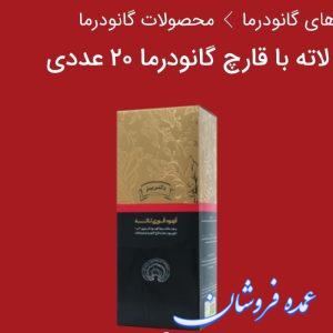 قهوه لاته +قارچ گانودرما+ قهوه عربیکا (۲۰ساشه ای)