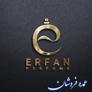 طراح لوگو حرفه ای