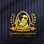 طراح لوگو حرفه ای