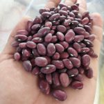 لوبیا قرمز ، لوبیا چیتی ، لپه