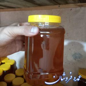 عسل دامنه های سهند مراغه