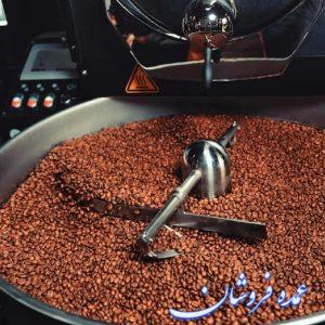 واردات مستقیم قهوه