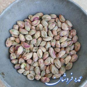 توزیع انواع مغز و پسته به صورت عمده به سراسر کشور