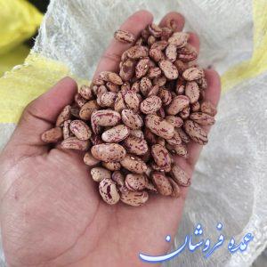 لوبیا قرمز ، لوبیا چیتی ، لپه