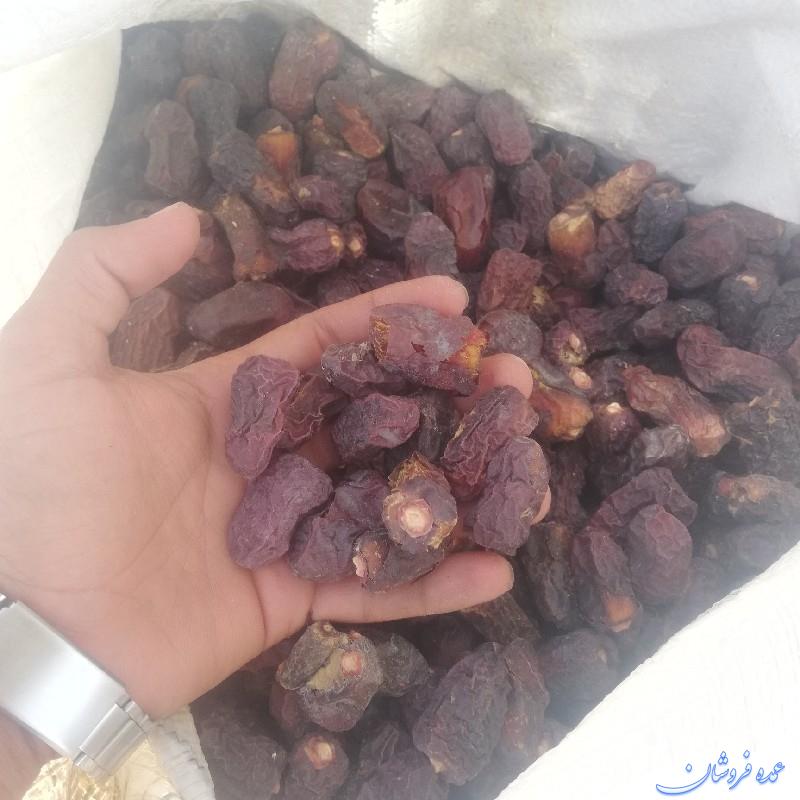 ضایعات خرما