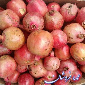 فروش انار ملس  بالای ۱۰۰تن