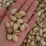 پسته درجه یک دامغان