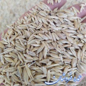 جو وارداتی