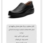 کفش رسمی و اداری