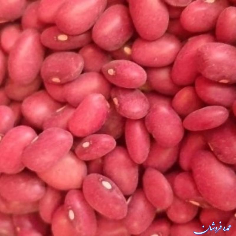 لوبیا قرمز تازه درجه یک رقم یاقوت