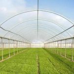 خرید پلاستیک گلخانهای عرض 10 با 10 درصد یووی بدون واسطه + قیمت عمده