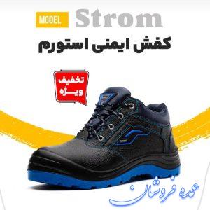 کفش ایمنی پاتن  مدل استورم