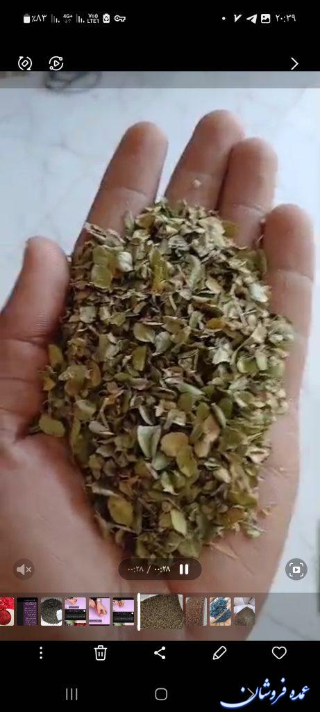 آویشن شیرازی