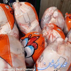 مرغ منجمد سمین