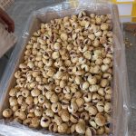 فروش عمده انجیر درجه یک استهبان
