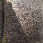 فروش تخمه کدو گوشتی درجه یک و لوکس