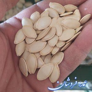 فروش تخمه کدو گوشتی درجه یک و لوکس