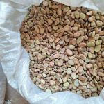 فروش باقله خشک (باقالی)