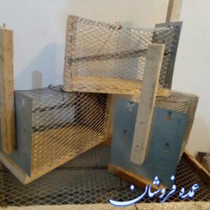 تله موش مکانیکی چوبی متوسط