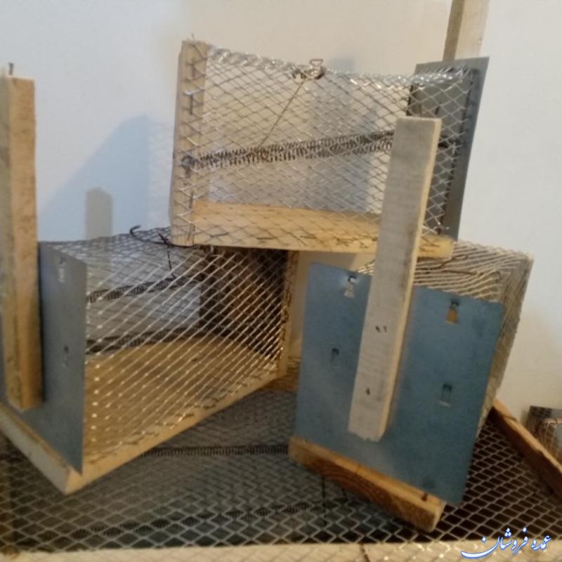 تله موش مکانیکی چوبی متوسط