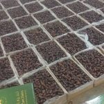 خرمای پیاروم سوپر لوکس