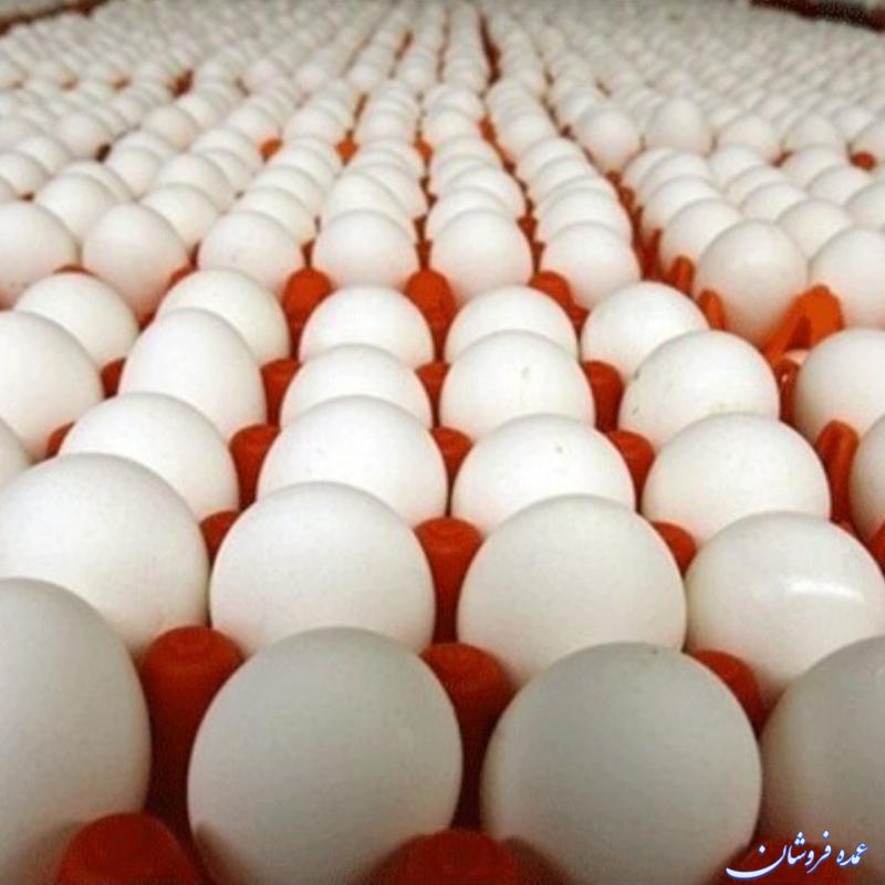 تخم مرغ روز