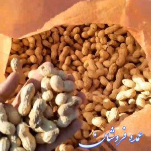 بادام زمینی بادام خاکی بادوم زمینی