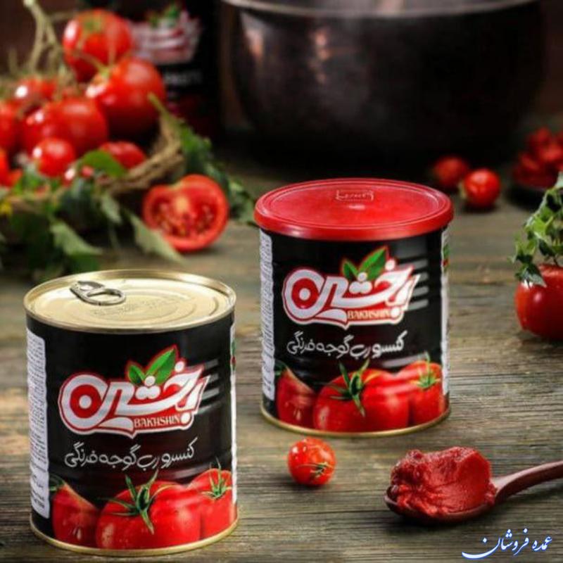 جذب نماینده فعال از سراسر کشور