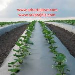 فروش ویژه اینترنتی نایلون مالچ گلخانه + قیمت عادلانه