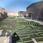 زغال حبه ای 100 درصد کربن صادراتی