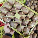 کیوی تازه و ترد