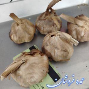 سیر سیاه همدان