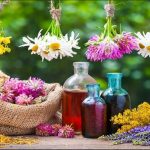 عطر ناب طبیعت را با گلاب و عرقیات هودکا احساس کنید