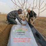 فروش ویژه اینترنتی نایلون مالچ گلخانه + قیمت عادلانه