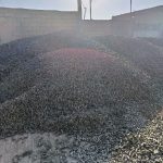 تفاله چغندر