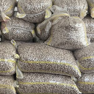 پسته احمد اقایی