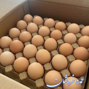 تخم مرغ بومی