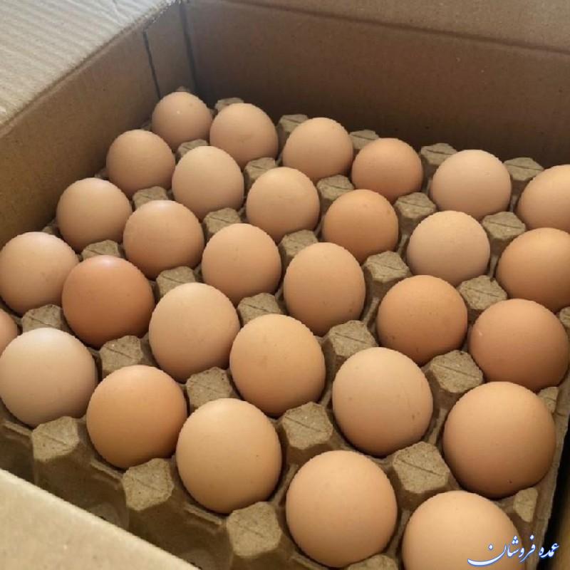 تخم مرغ بومی