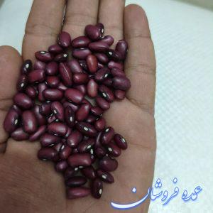 لوبیا محلی دست چین شده