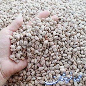 لوبیا چیتی تناژ بالا