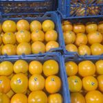 پرتقال صادراتی و معمولی