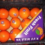 پرتقال صادراتی و معمولی