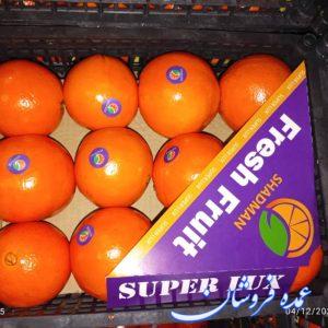 پرتقال صادراتی و معمولی